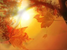 Autumn Desktop Backgrounds