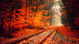 Autumn HD