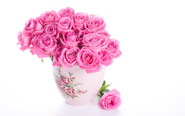 Pink Roses Photo