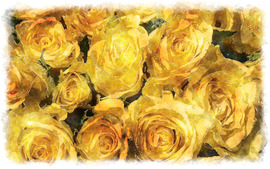 Yellow Roses Desktop Wallpaper