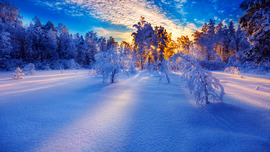 Snow Sunrise