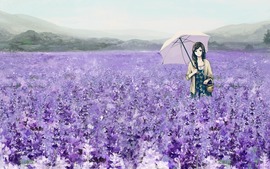 Lavenders Field