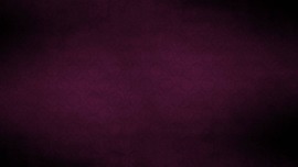 Violet Colour Wallpaper