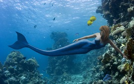 Mermaid Image