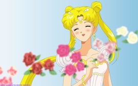 Sailor Moon Picture