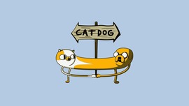 Adventure Time Funny Wallpaper