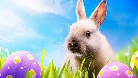 Easter HD Wallpapers