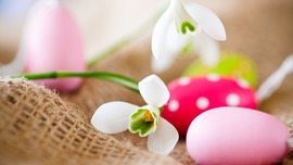 Happy Easter HD Wallpapers