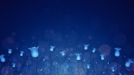 Blue 1080p Wallpapers