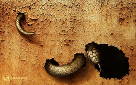 Dangerous Snake Wallpaper