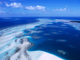 Coral Reef Australia