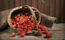 Strawberry Fruits
