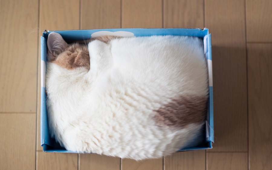 Cat Curl Up Box