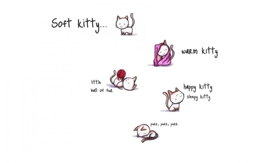 Big Bang Theory Soft Kitty Song