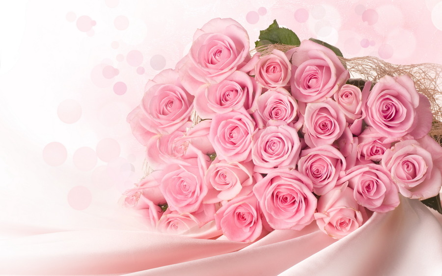 Pink Roses Background