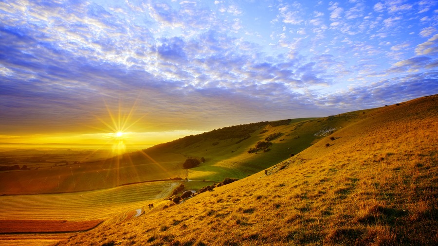 Summer Sun - Wallpaper, High Definition, High Quality, Widescreen