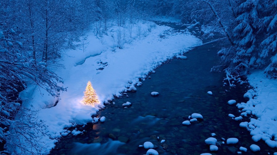 Winter Christmas Tree