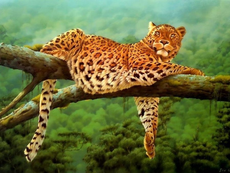Leoparden Leopard