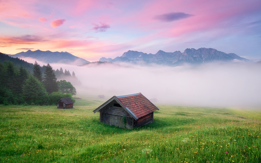 Alps Meadow Germany
