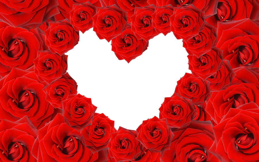Red Roses Love Heart