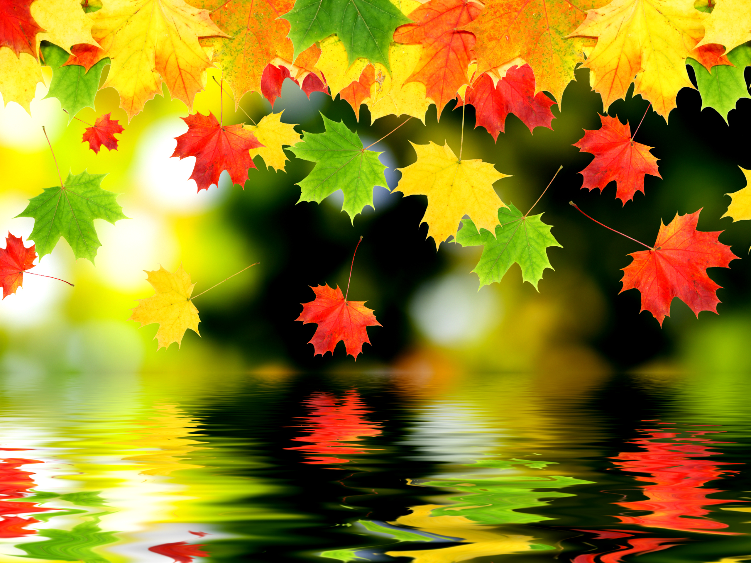 Autumn Leaves Falling - Wallpaper, High Definition, High Quality, Widescreen