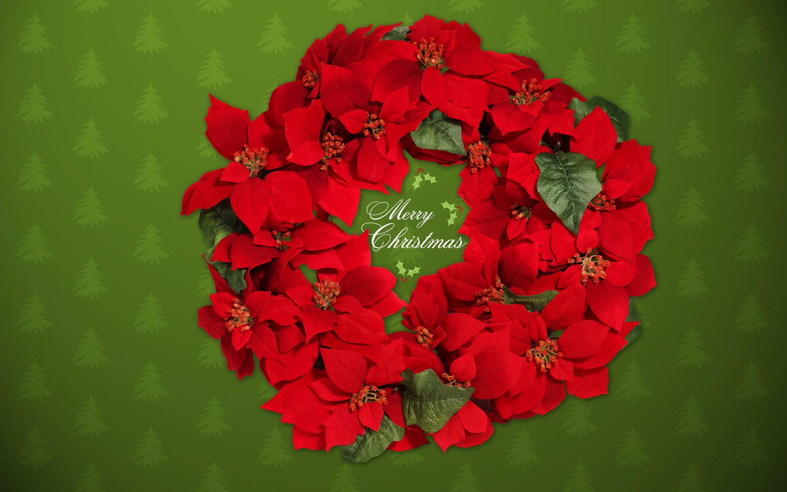 Christmas Wreaths Photos - Wallpaper, High Definition, High Quality