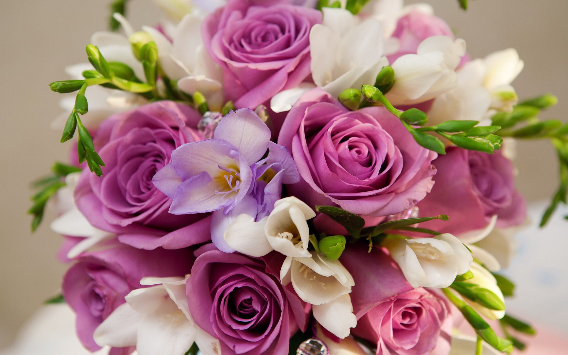 Beautiful Roses Bouquet - Wallpaper, High Definition, High Quality, Widescreen