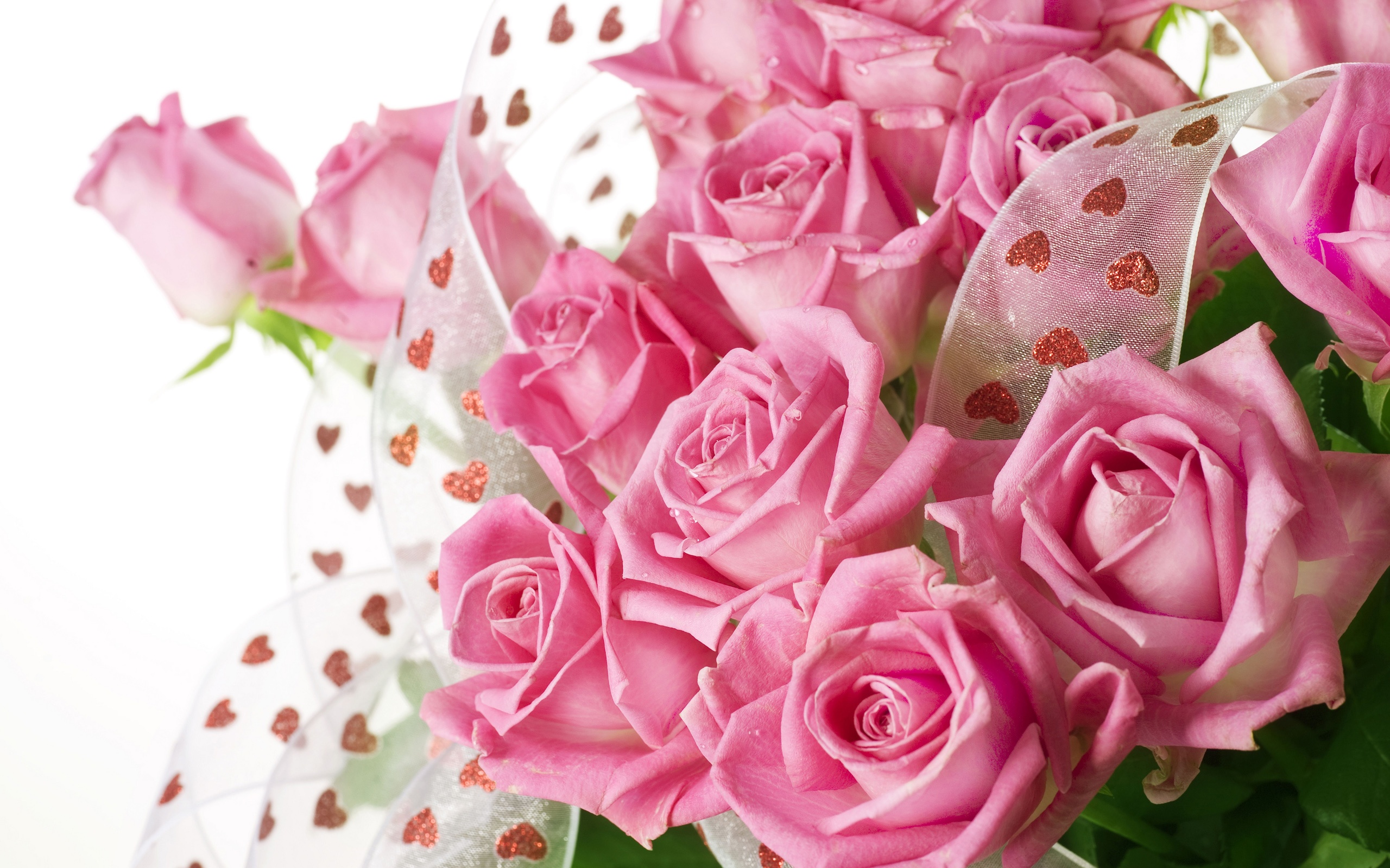 Pink Roses Desktop Wallpapers - Wallpaper, High Definition, High Quality, Widescreen