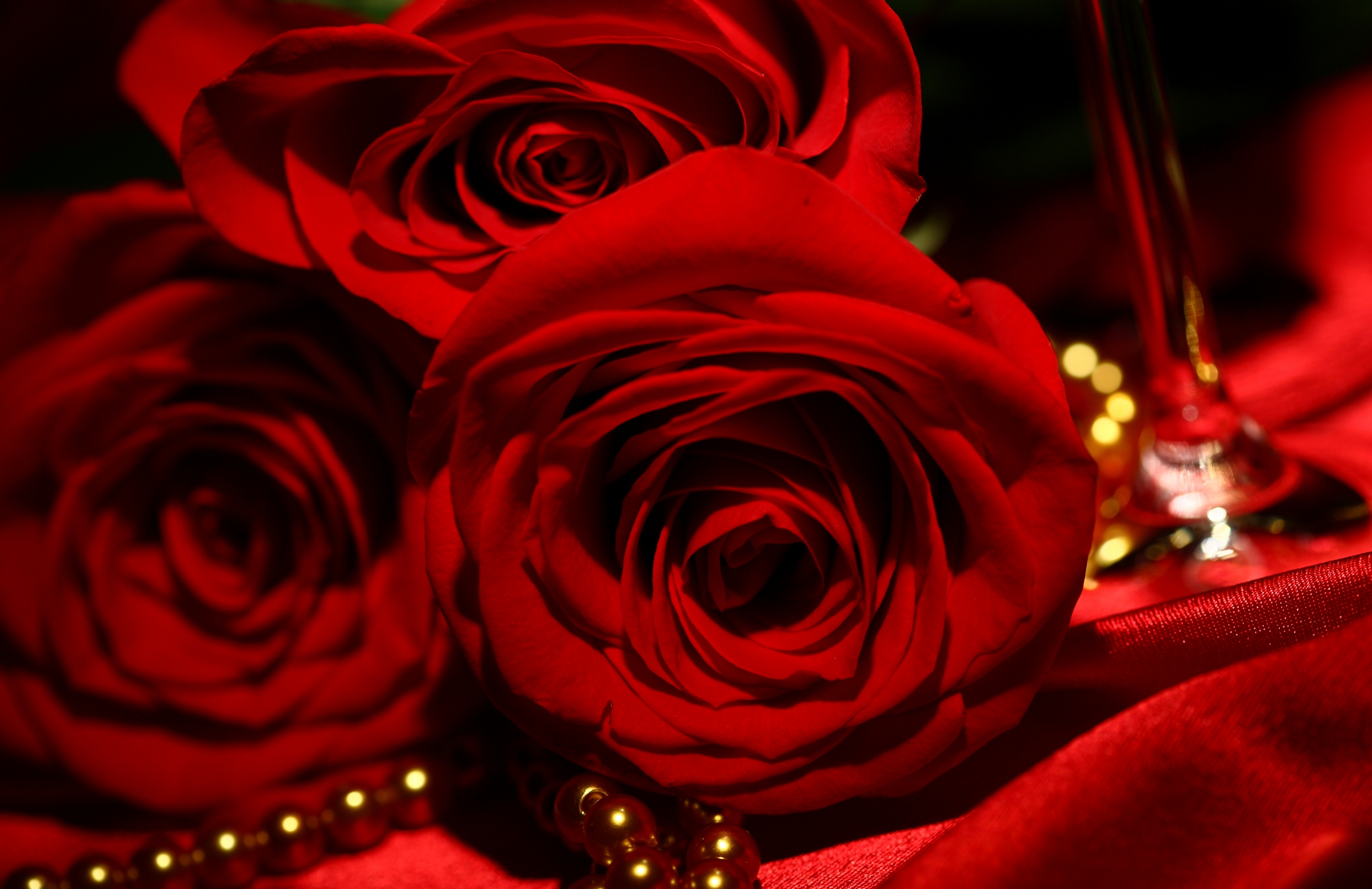 Red Roses Backgrounds - Wallpaper, High Definition, High Quality, Widescreen