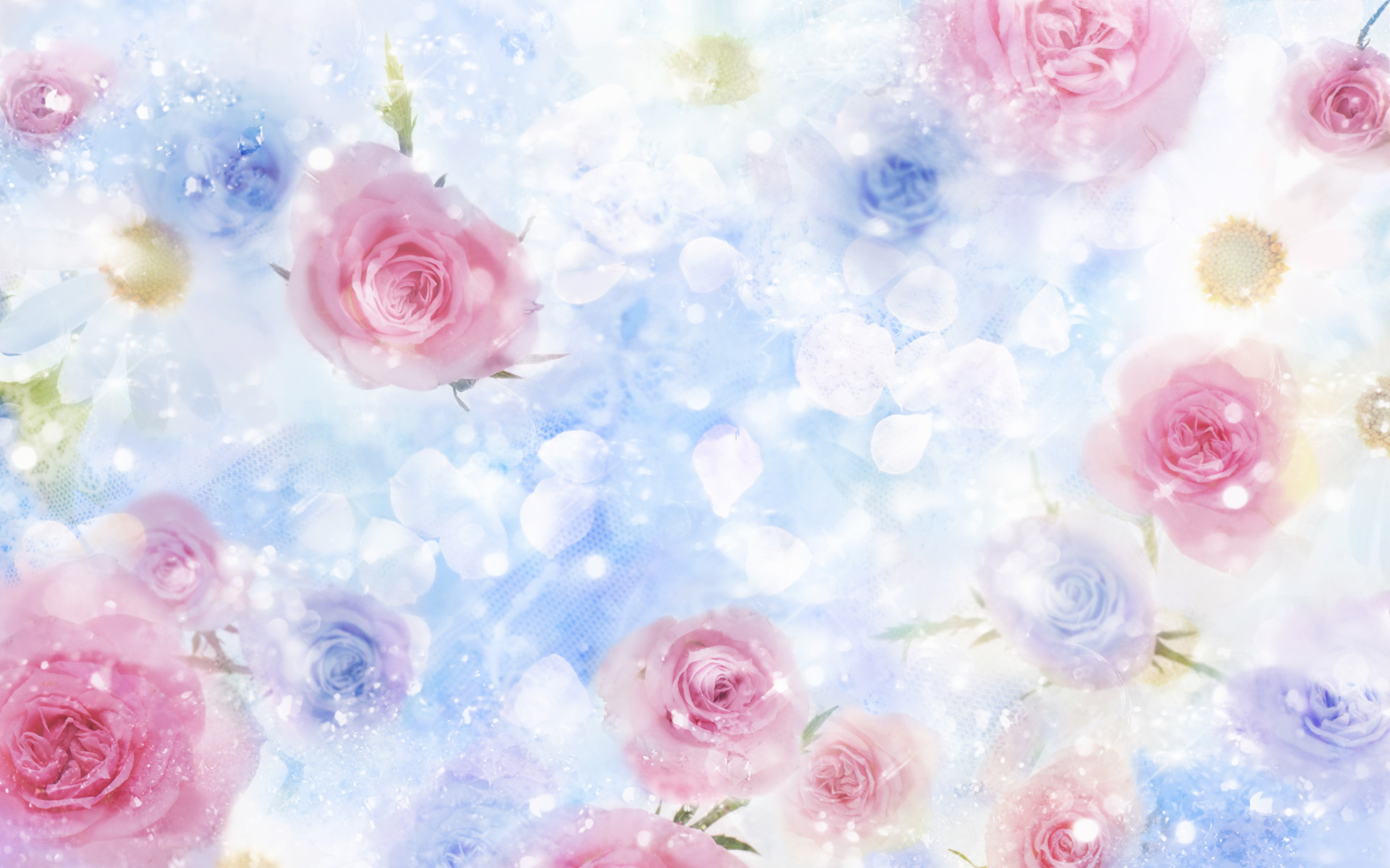 Roses Desktop Backgrounds Wallpaper High Definition High