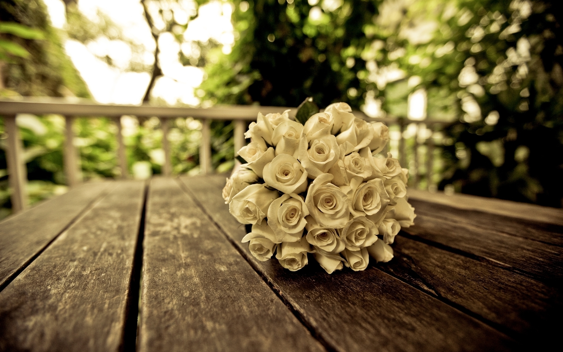 Wedding Roses - Wallpaper, High Definition, High Quality ...