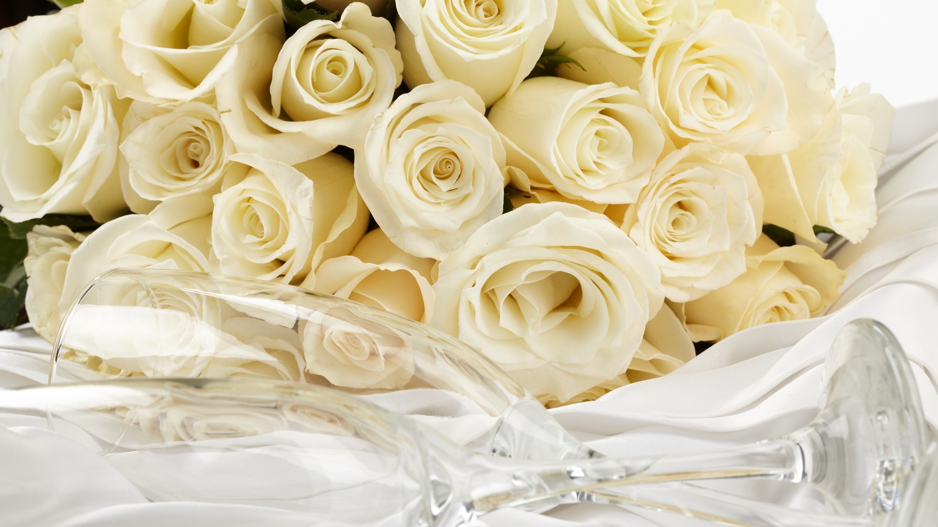 White Roses Flower - Wallpaper, High Definition, High Quality, Widescreen