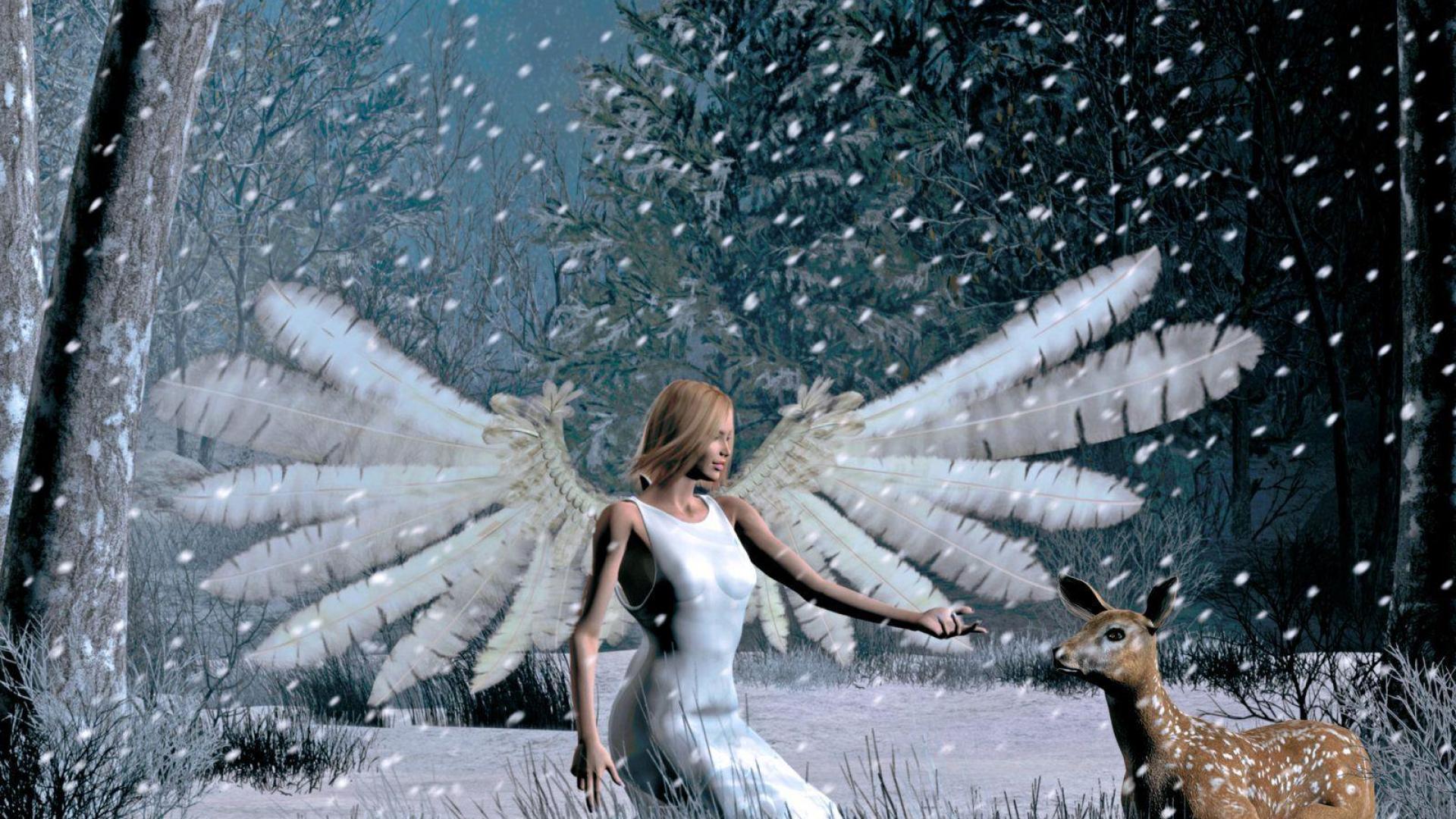 Snow Angel Wallpapers Wallpaper High Definition High Quality Widescreen