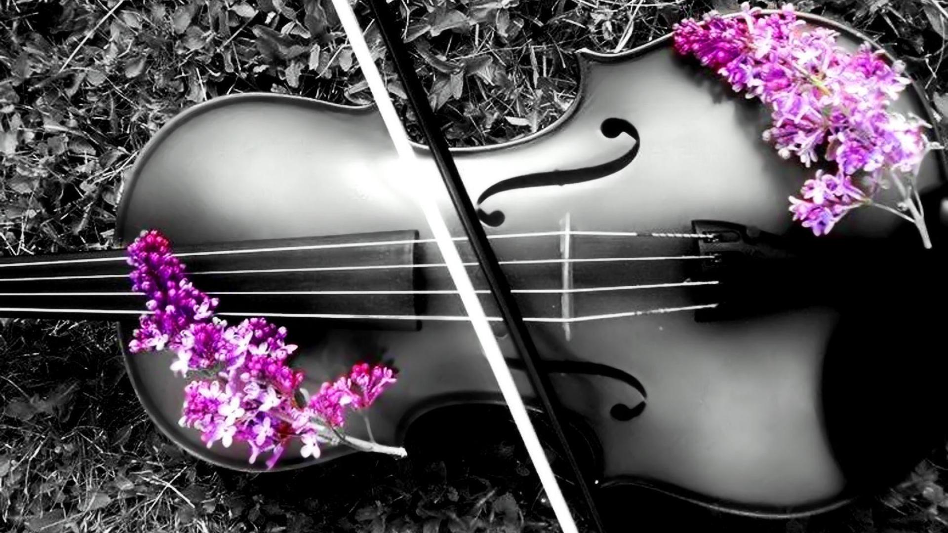 Violin 1080p - Wallpaper, High Definition, High Quality, Widescreen