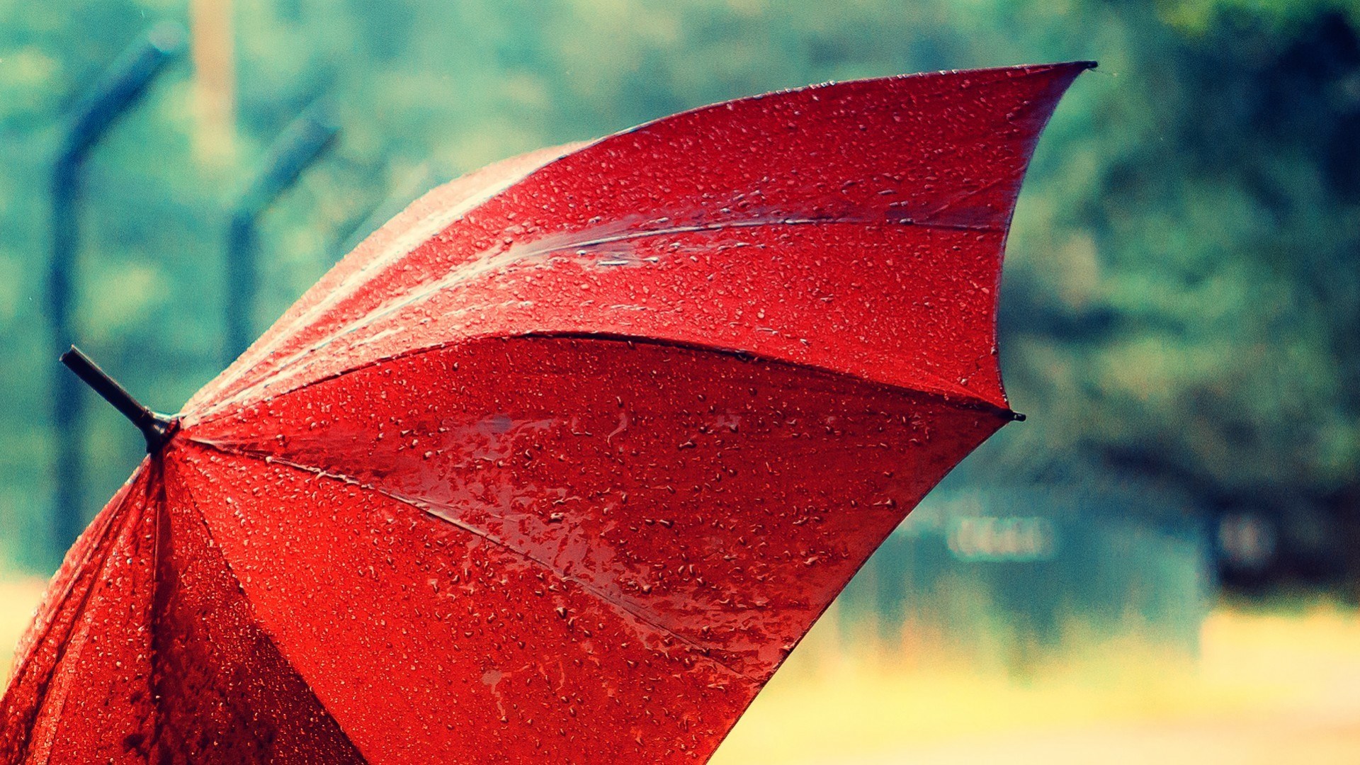 Rain Umbrella Wallpaper High Definition High Quality HD Wallpapers Download Free Images Wallpaper [wallpaper981.blogspot.com]