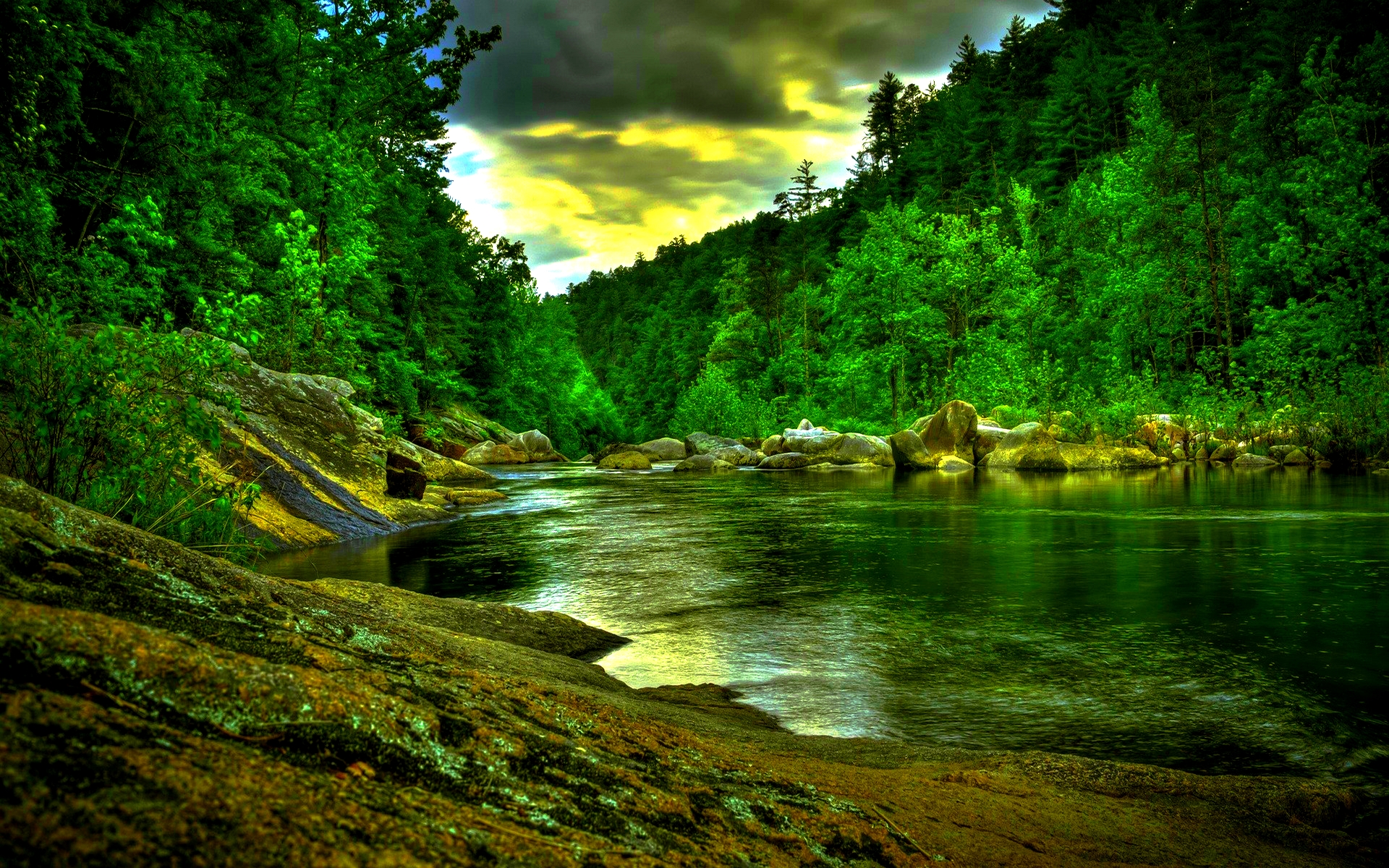 Amazon Rainforest Wallpaper Wallpaper High Definition High Quality 