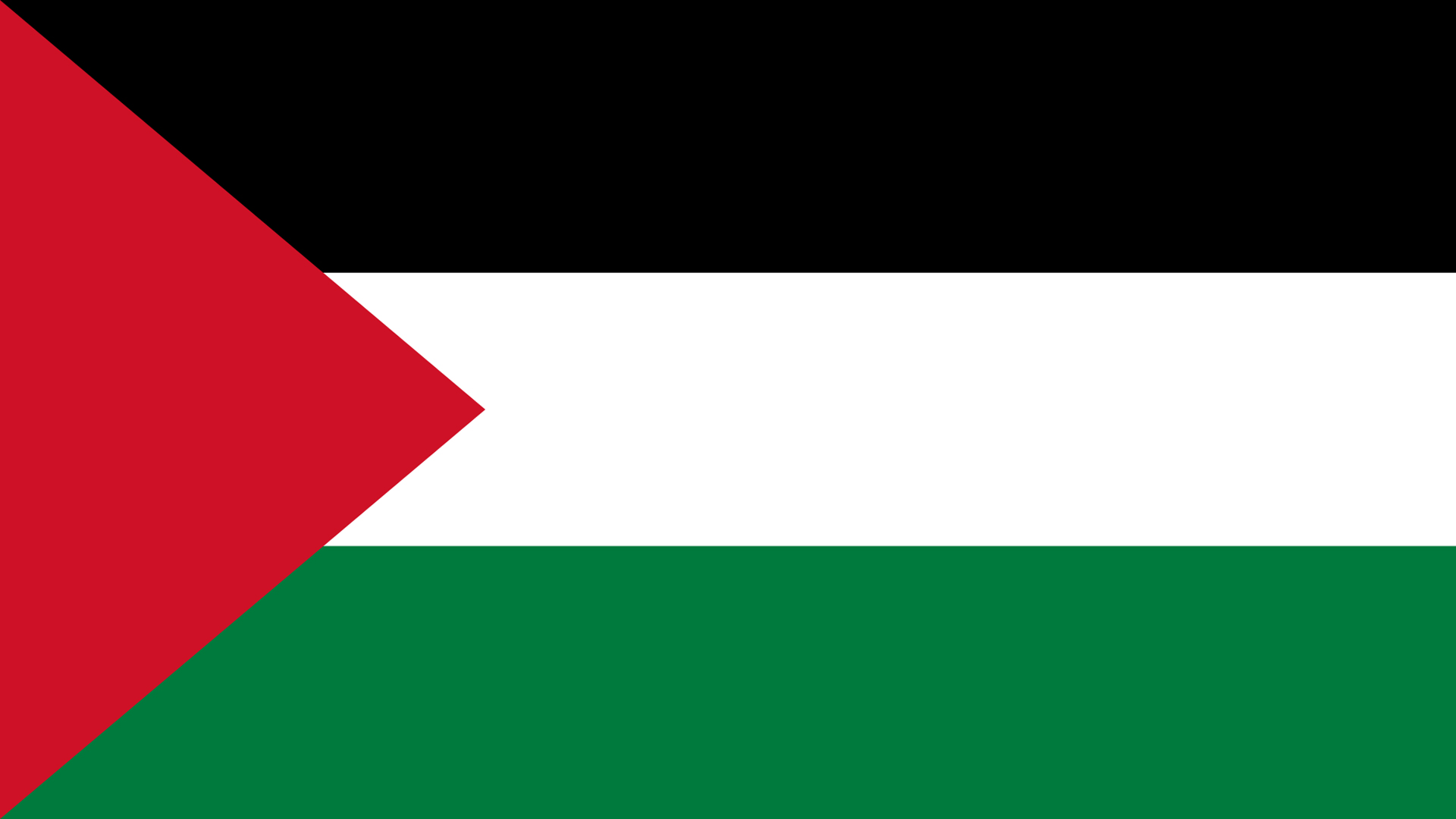 Flag Of Palestine