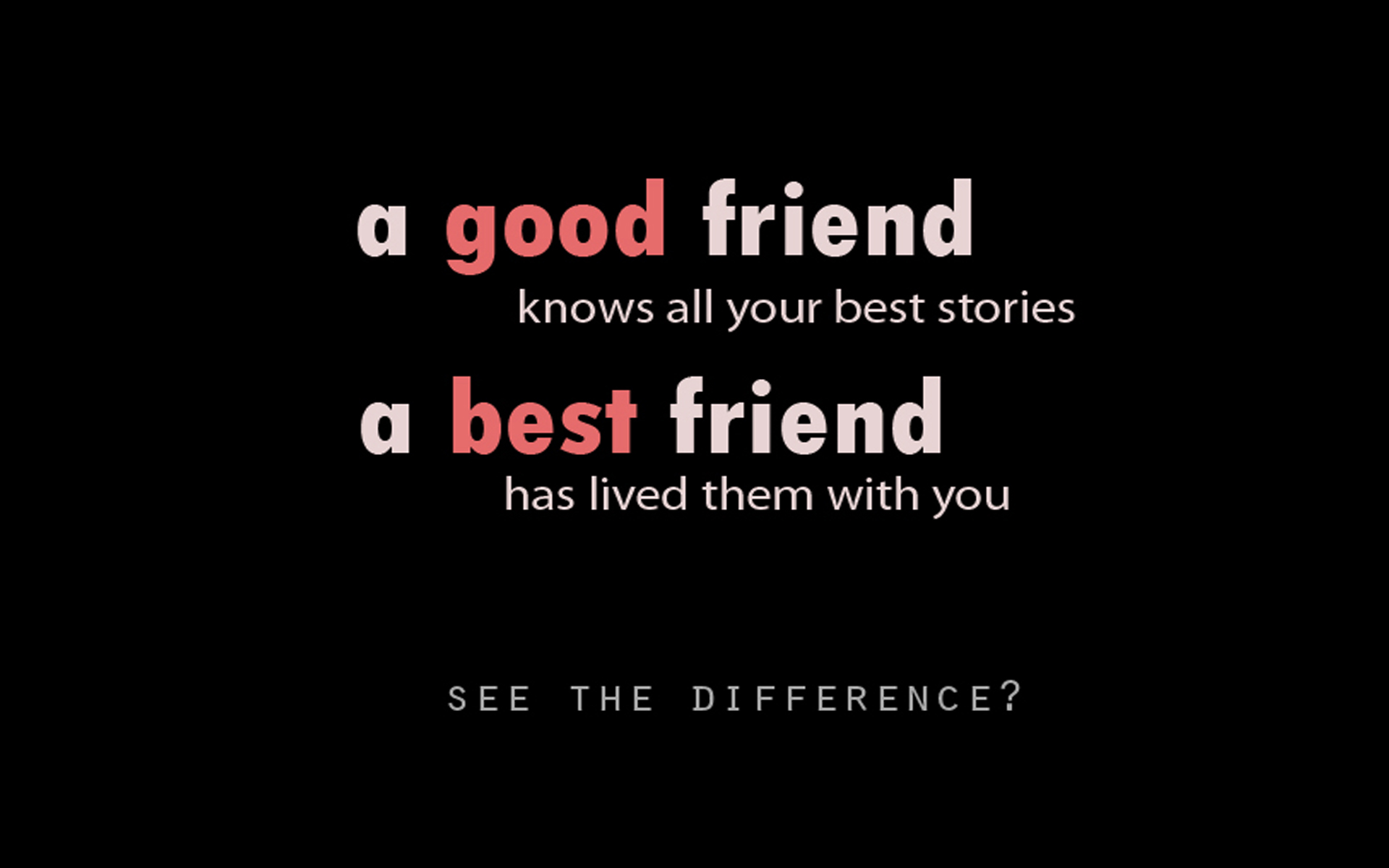 Best Friend Wallpaper High Definition High Quality Widescreen 