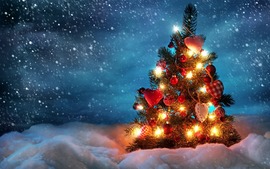 2014 Beautiful Christmas Tree