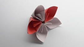 Easy Origami Flower
