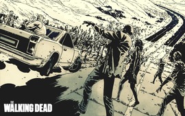 The Walking Dead Widescreen
