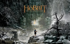 The Hobbit The Desolation of Smaug 2013 Poster