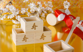 Traditional Japanese New Year Images