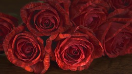 Red Roses Image