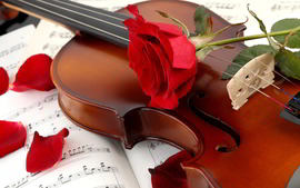 Roses Violin