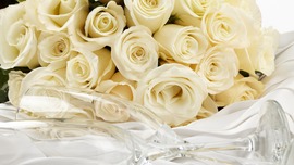 White Roses Flower