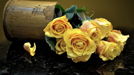 Yellow Roses HD