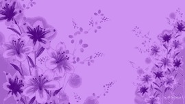 Lavender Colour Wallpaper