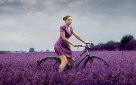 Lavender Flowers Widescreen Wallpaper