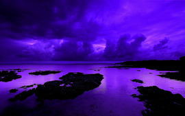 Violet Backgrounds